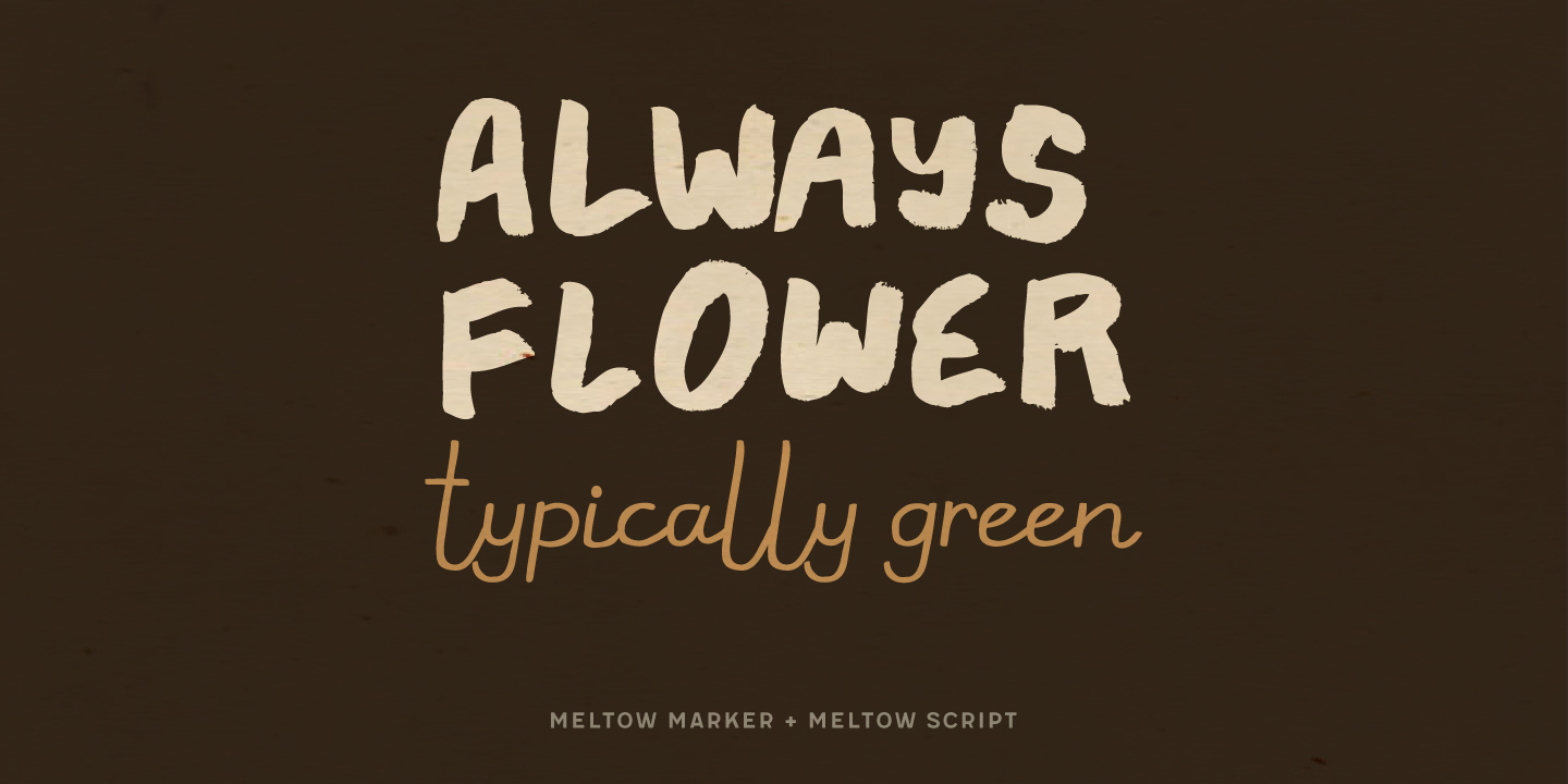 Meltow